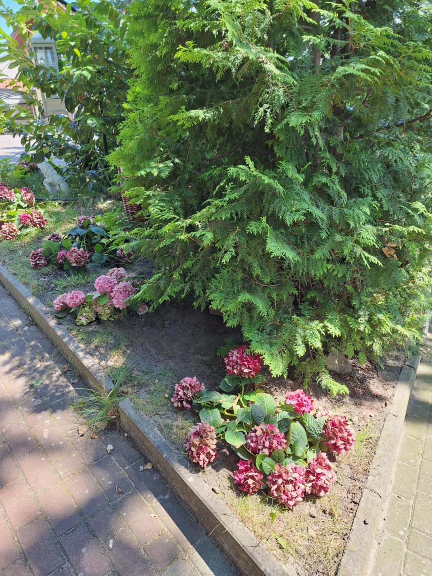 Domek Letniskowy 3 Os Pod Bukiem Misdroy Exterior foto